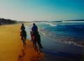 horseback on the beach