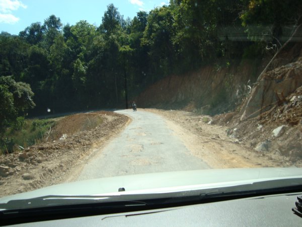 More jungle road