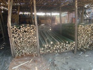 bamboo shop