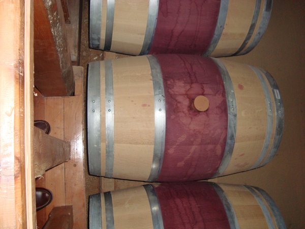 Barrels painted in wine