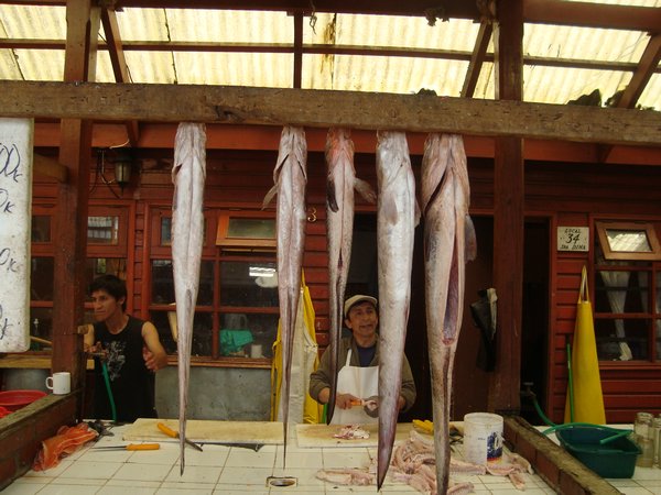 Now 1000 KM  South in Town/port that is fishing capital of Chile, this is wild Salmon