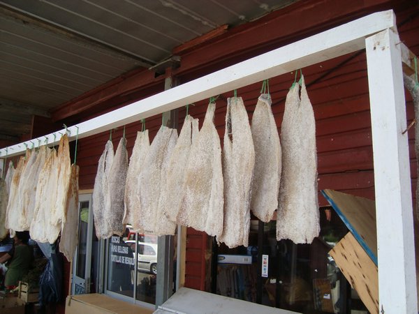 dryed salted local fish in market