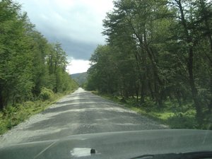 Straight forest roads