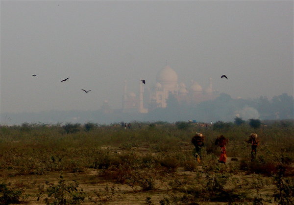 The Taj from the other side of the river. 