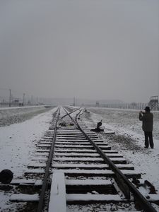 Bickenau/Auschwitz 