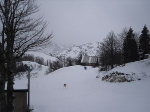 Vogel Ski field