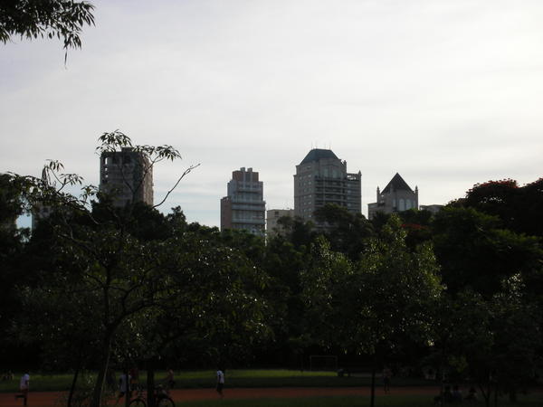 skyscrapers crouching behind the parque