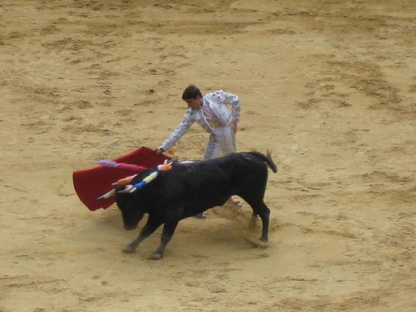 Matador and Bull