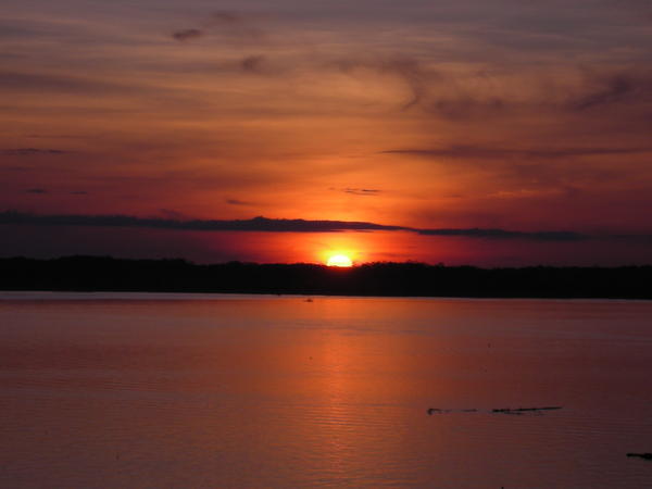 sunrise over the amazonian river