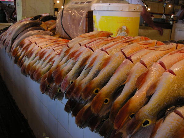 the local fish market