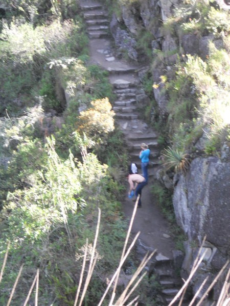 Thne path leading to Huayna Picchu