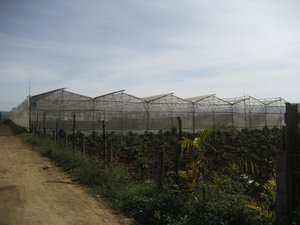 Dalat Greenhouses