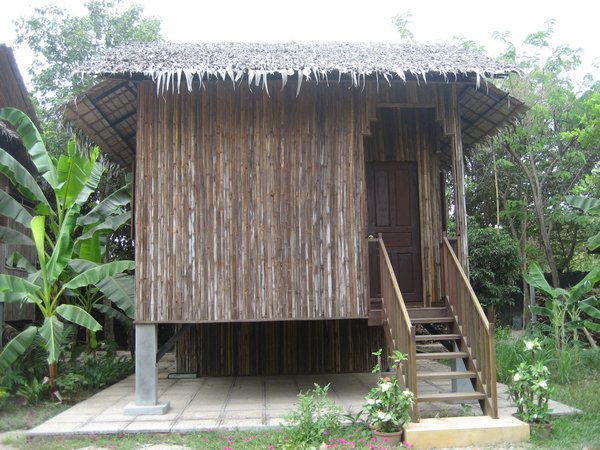 My bamboo hut