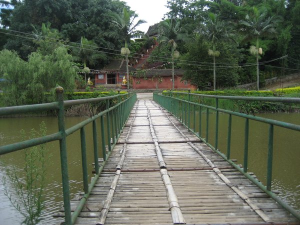 Bamboo Footbridge