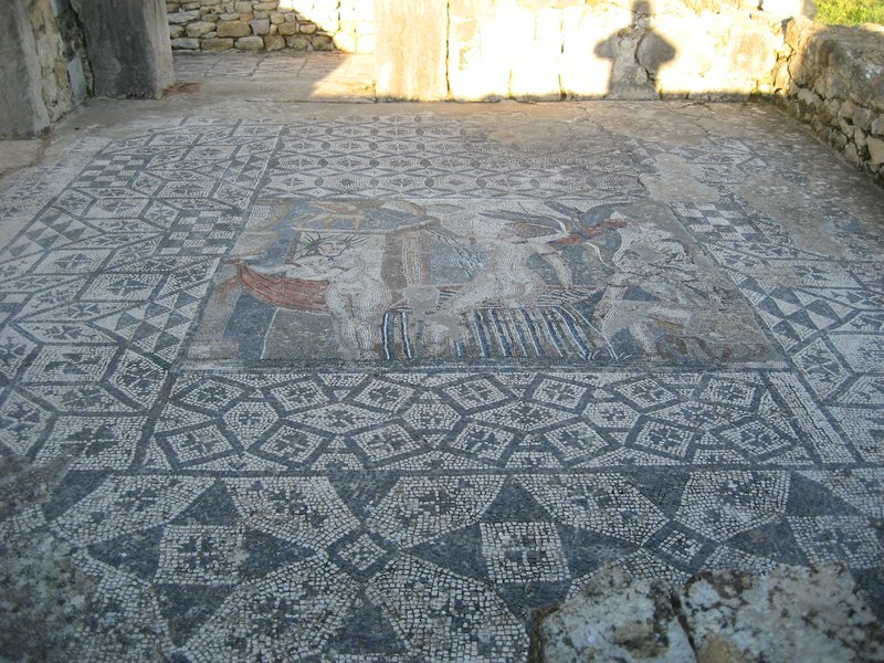 Volubilis Mosaic