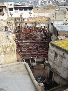 Fez Tannery