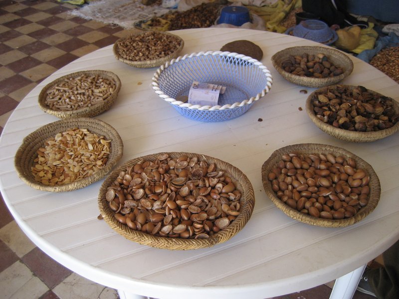 Argan Nuts in Various Stages