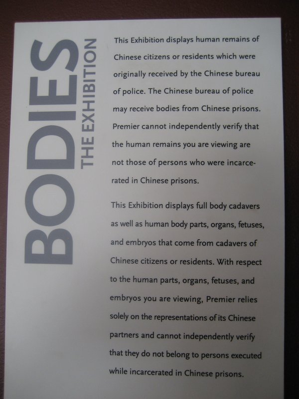 Bodies Exhibit at Seaport Museum