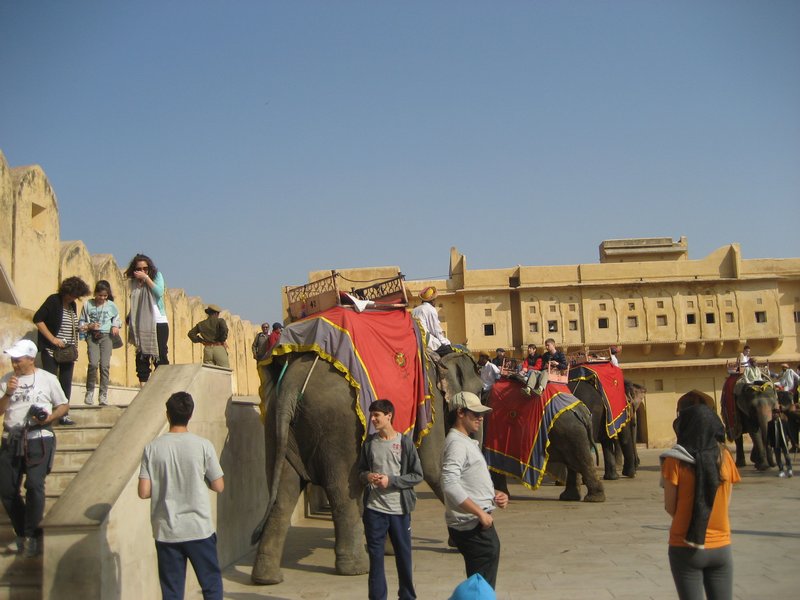Elephant Rides at Amber Fort