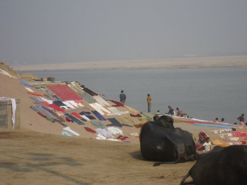 Laundry at the Ghats