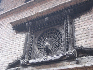 The peacock is important in Nepali culture