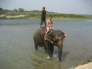 Shower with the elephants