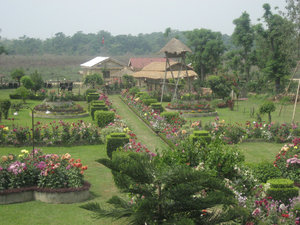 View of KC's garden