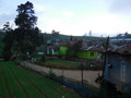 View from my room in Nuwara Eliya