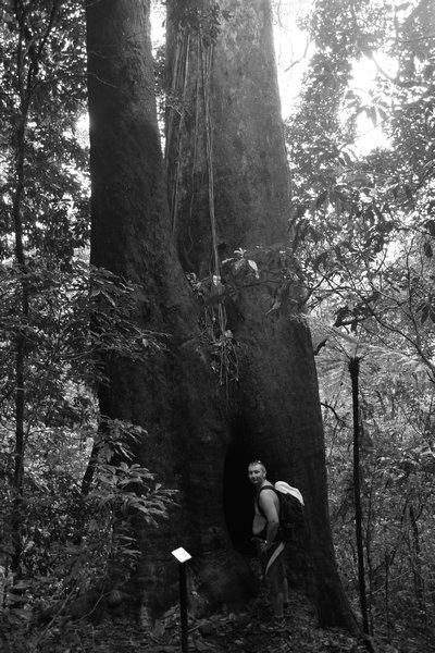 Billy standing next to a rather large tree 