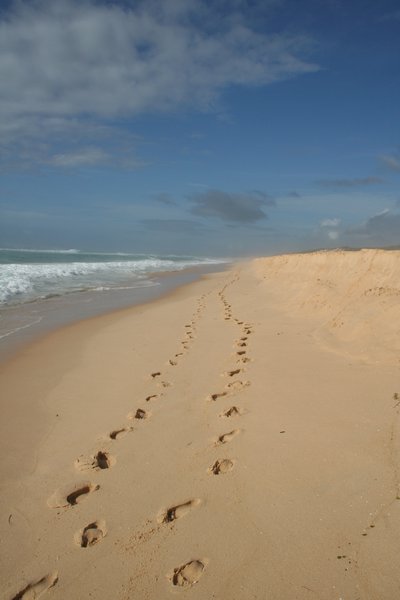 Footprints along the beach