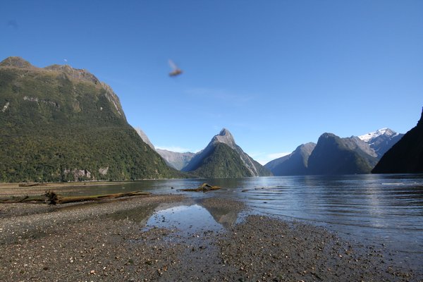 Another view of Milford Sound