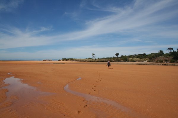 Totoranui estuary, with Billy walking ahead.