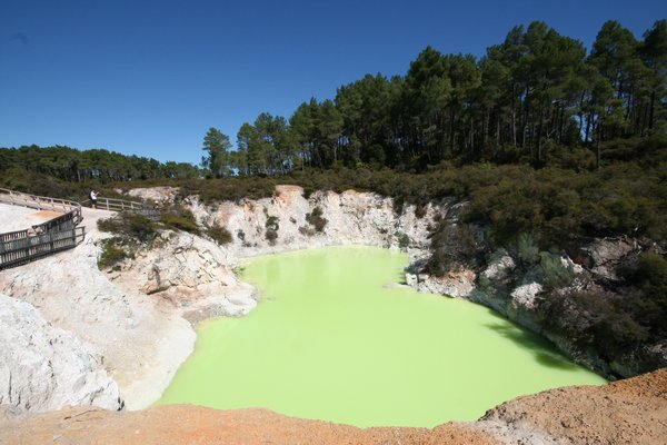 A really green pool