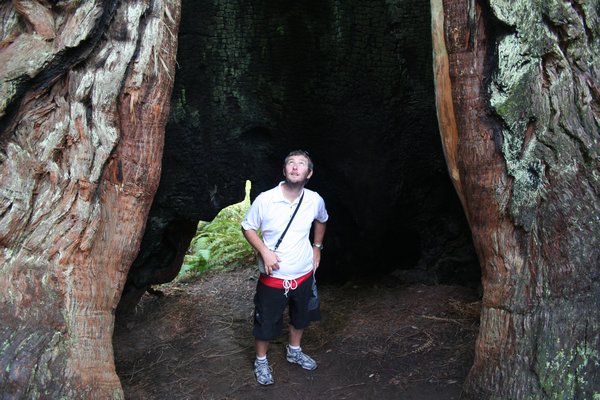 Me inside a tree trunk