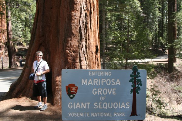 Billy at the start of our walk through the Giant Sequoias