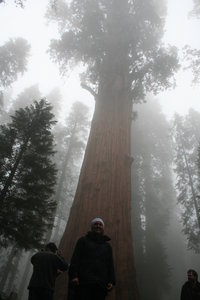 Sandra in front of the General Sherman