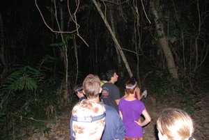 Jungle Trek and Night Walk