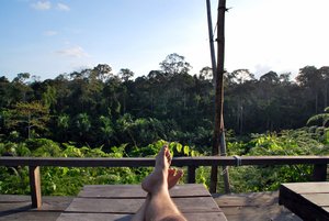 My Sepilok Jungle Resort