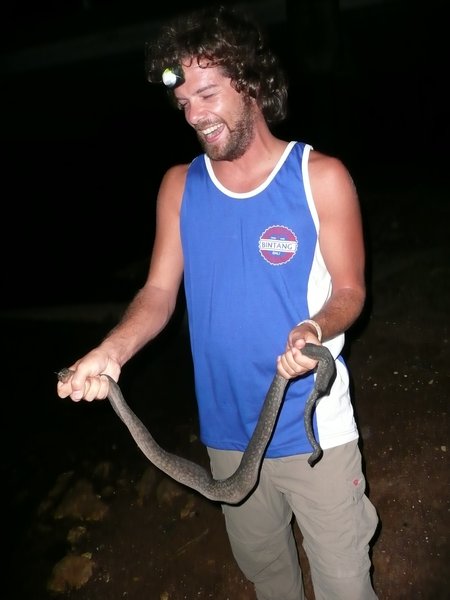 Snake Hunting with Amanda