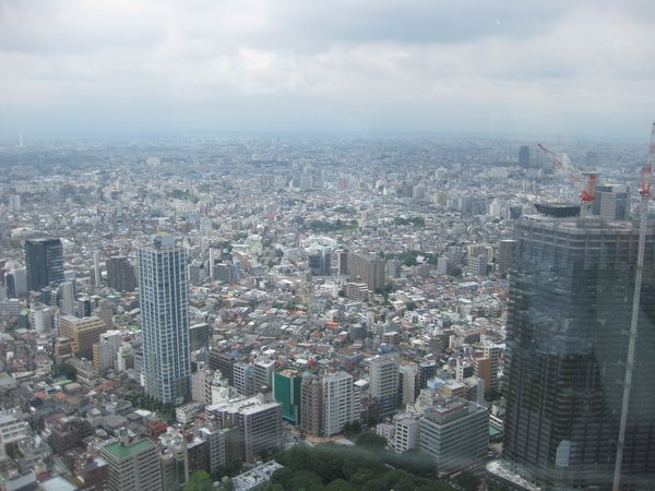View from top of Tokyo Gov. #1 Building 