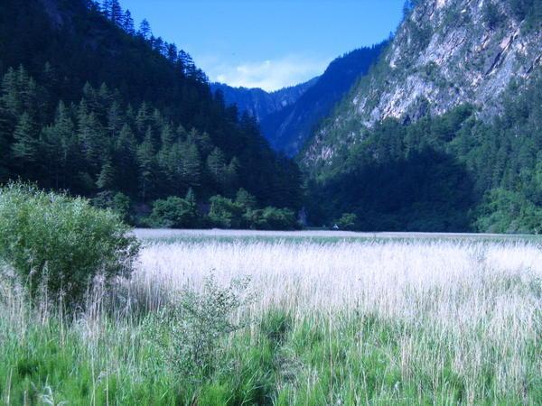 Reed lake