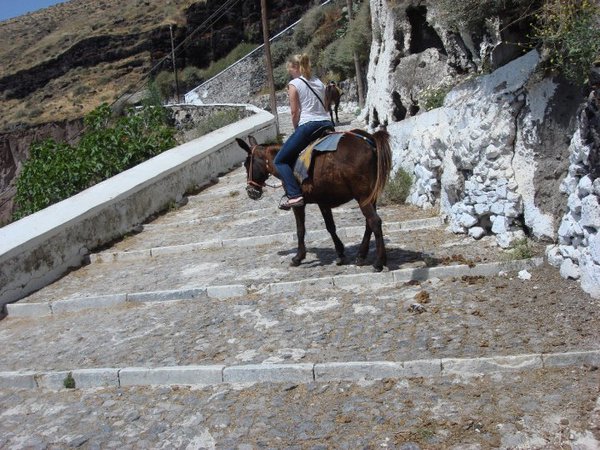 Me Riding a Donkey!