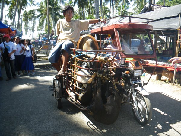 Multiple tricycle transport