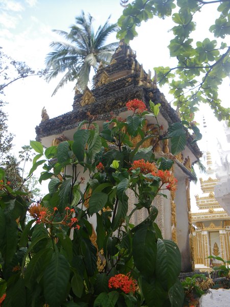 Temple and Flowers 
