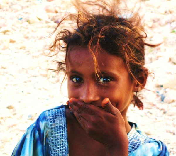 Socotri Young Beauty - Beta