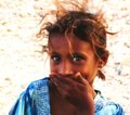 Socotri Young Beauty - Beta