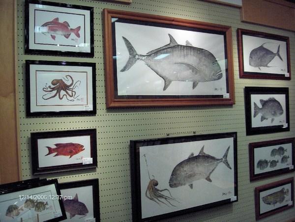 Fish Imprints-Pictures Plus.