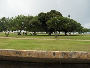 Ala Moana Park.