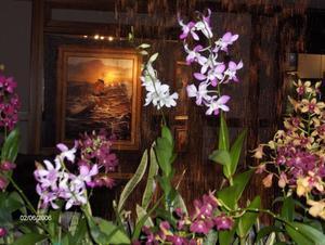 Orchids and Painting.