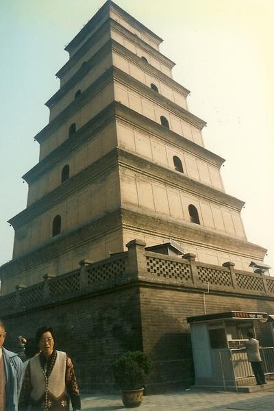 Wild Big Goose Pagoda.